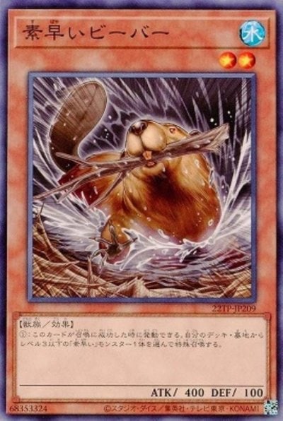 素早いビーバー