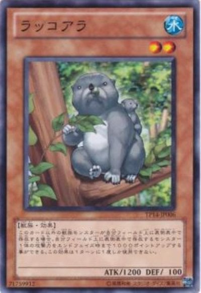 ラッコアラ