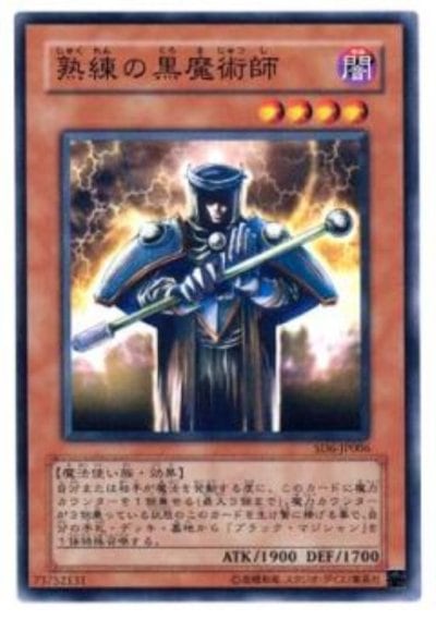 熟練の黒魔術師