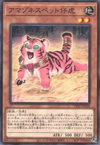 アマゾネスペット仔虎