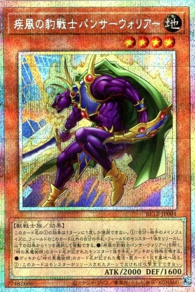 疾風の豹戦士パンサーウォリアー