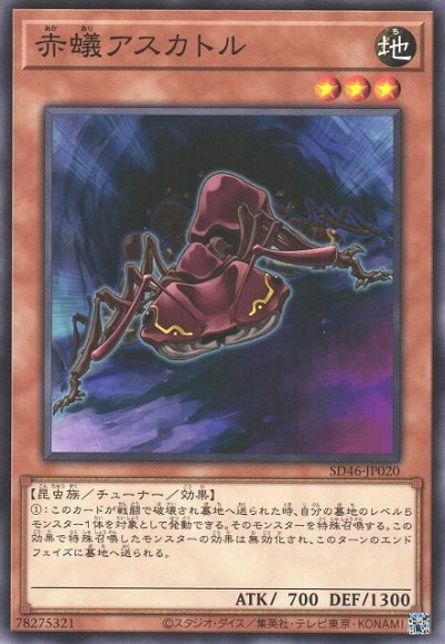 赤蟻アスカトル