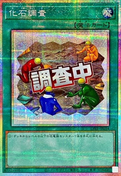 化石調査