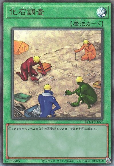 化石調査