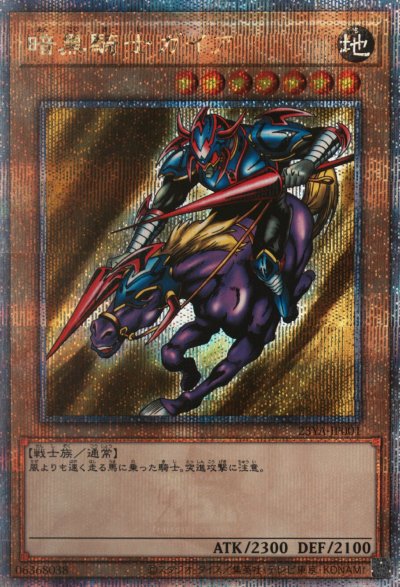 暗黒騎士ガイア