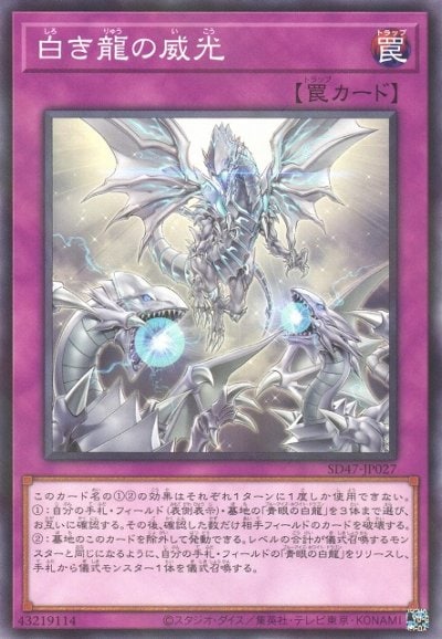 白き龍の威光