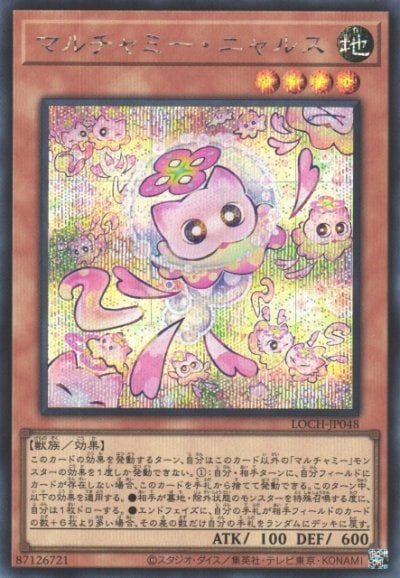 マルチャミー・ニャルス