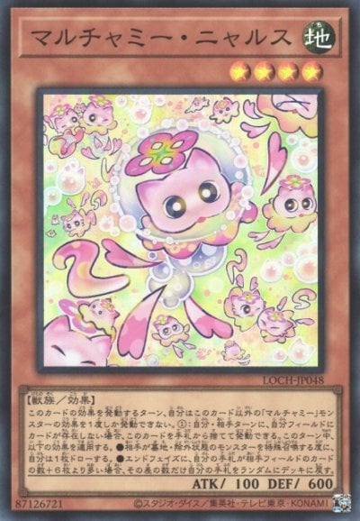マルチャミー・ニャルス