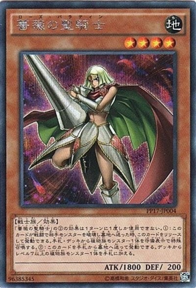 薔薇の聖騎士