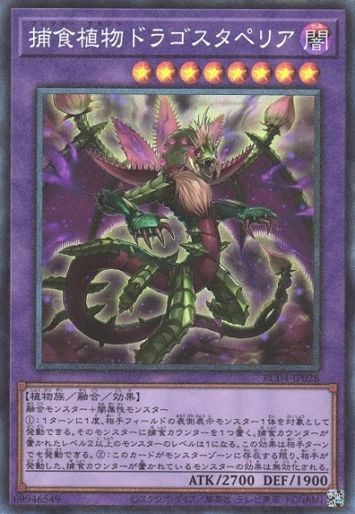 捕食植物ドラゴスタペリア