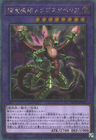 捕食植物ドラゴスタペリア
