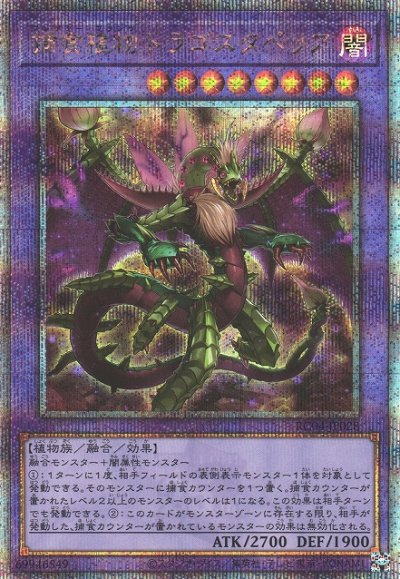 捕食植物ドラゴスタペリア