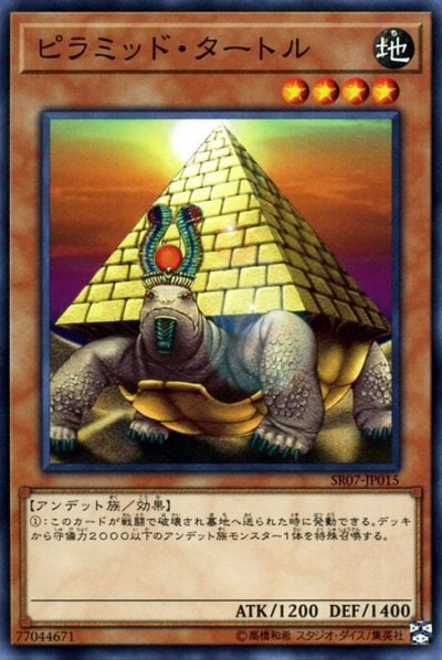 ピラミッド・タートル