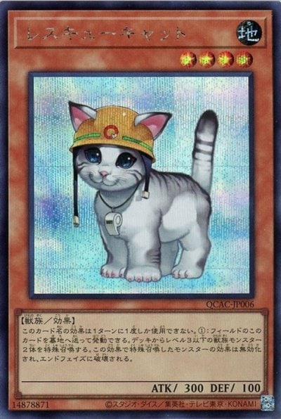レスキューキャット