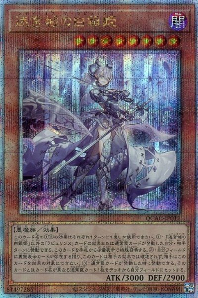 迷宮城の白銀姫