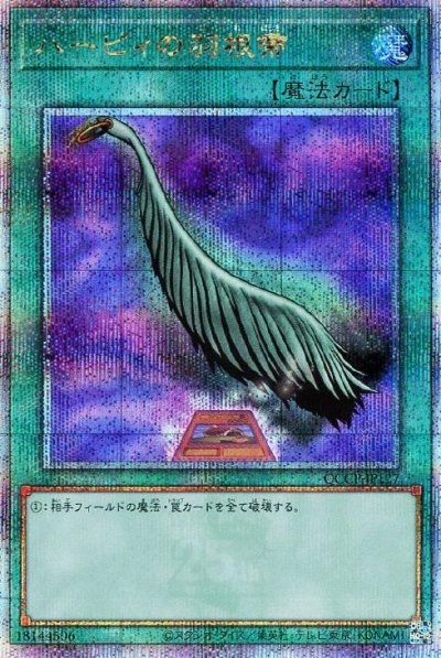 ハーピィの羽根帚