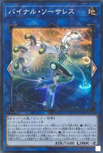 バイナル・ソーサレス