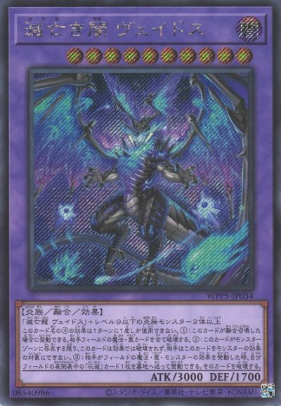 滅亡き闇 ヴェイドス