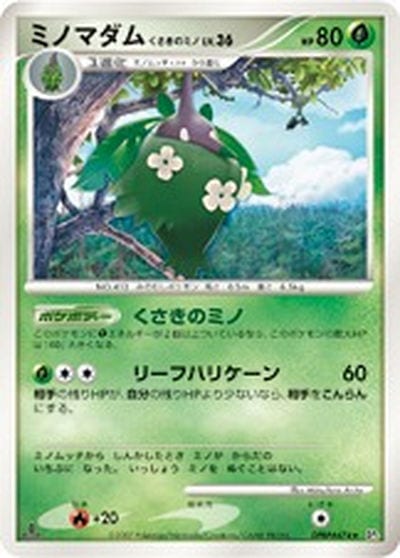 ミノマダム くさきのミノ