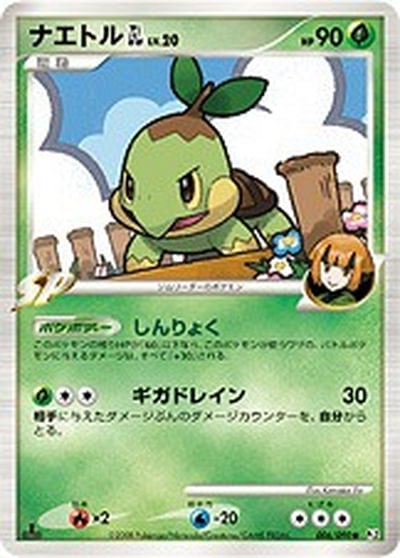 ナエトルGL