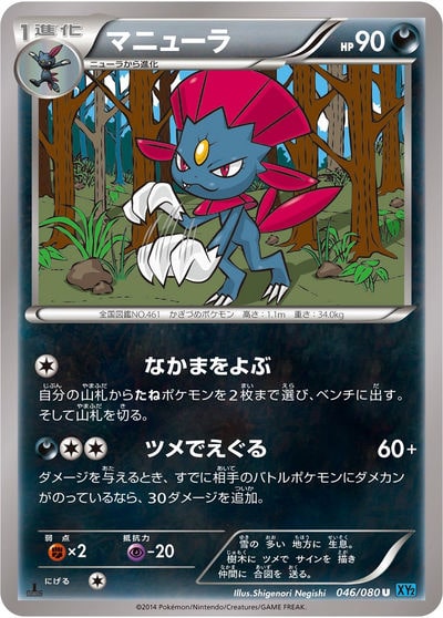 マニューラ U（XY2 046/080）詳細データ | CardStack