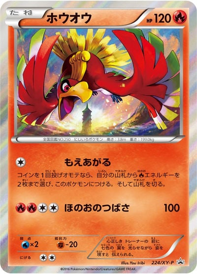ホウオウ P 224/XY-P