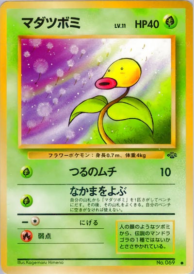 マダツボミ